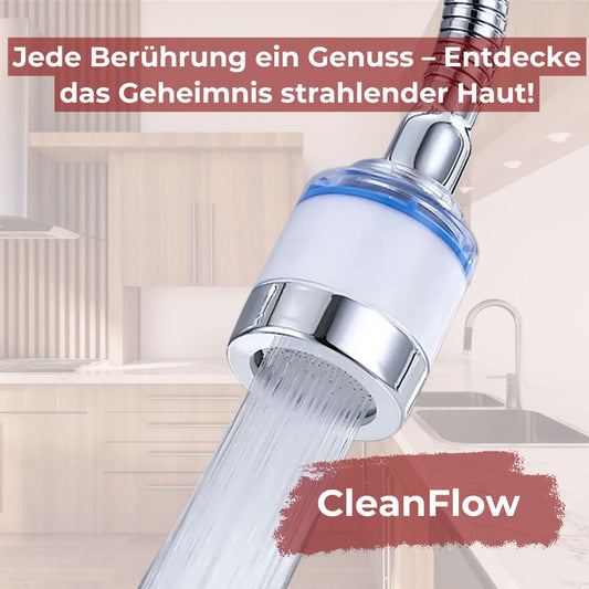 CleanFlow